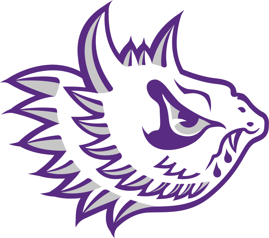 TCU Horned Frogs 1966 Secondary Logo diy iron on heat transfer
